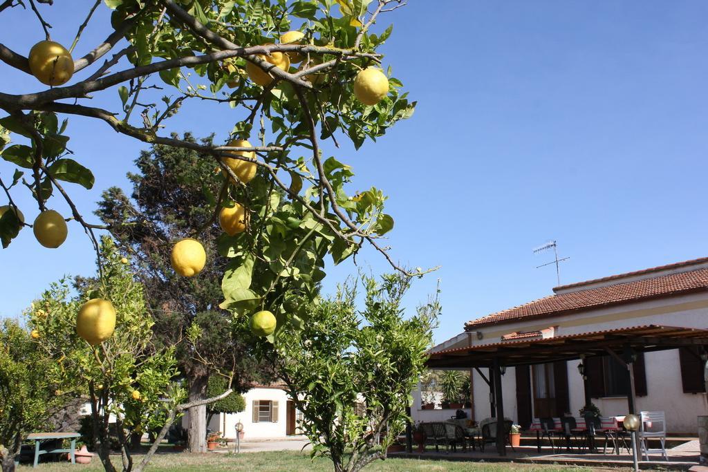 Rita B&B Sea Sun And Nature Santa Maria la Palma Room photo